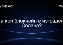 На коя блокчейн е изградена Солана?