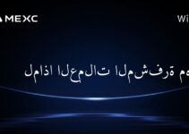 لماذا العملات المشفرة مهمة؟