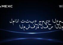 لماذا تتبع جميع العملات المشفرة نفس النمط؟