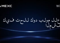 كيف تحلل كود بلوم للعملة المشفرة؟