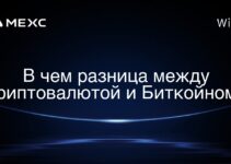 В чем разница между криптовалютой и Биткойном?