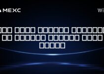 آیا برای ارزهای دیجیتال در برونئی مالیات وجود دارد؟