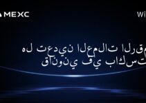 هل تعدين العملات الرقمية قانوني في باكستان؟