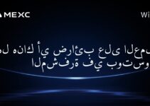 هل هناك أي ضرائب على العملات المشفرة في بوتسوانا؟
