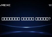 남아프리카에서 암호화폐는 합법인가요?