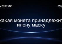 какая монета принадлежит илону маску