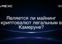 Является ли майнинг криптовалют легальным в Камеруне?