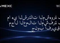 ما هي الشركات المشهورة في مجال العملات المشفرة في جنوب أفريقيا؟