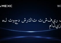 هل توجد شركات تشفير في ماليزيا؟