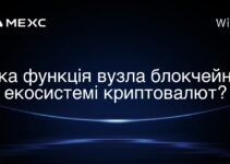 Яка функція вузла блокчейн в екосистемі криптовалют?