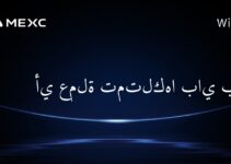 أي عملة تمتلكها باي بت