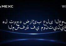 هل توجد ضرائب على العملات المشفرة في مونتينيغرو؟