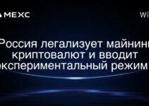 Россия легализует майнинг криптовалют и вводит экспериментальный режим?