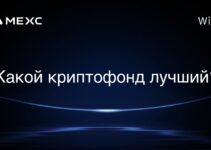 Какой криптофонд лучший?