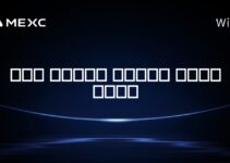 آیا مایکل سیلور مجرد است؟