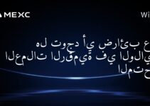 هل توجد أي ضرائب على العملات الرقمية في الولايات المتحدة؟