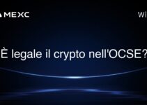 È legale il crypto nell’OCSE?