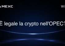 È legale la crypto nell’OPEC?