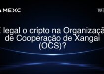 É legal o cripto na Organização de Cooperação de Xangai (OCS)?