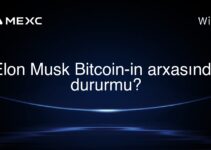Elon Musk Bitcoin-in arxasında dururmu?
