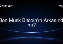 Elon Musk Bitcoin’ın Arkasında mı?