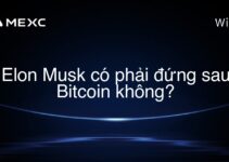 Elon Musk có phải đứng sau Bitcoin không?