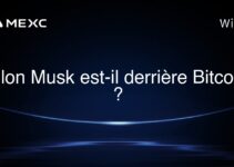 Elon Musk est-il derrière Bitcoin ?