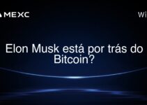 Elon Musk está por trás do Bitcoin?