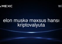 elon muskə məxsus hansı kriptovalyuta
