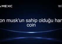 elon musk’un sahip olduğu hangi coin