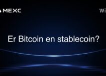 Er Bitcoin en stablecoin?