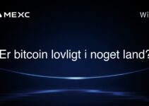 Er bitcoin lovligt i noget land?