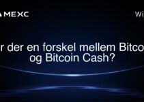 Er der en forskel mellem Bitcoin og Bitcoin Cash?