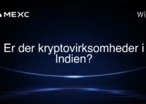 Er der kryptovirksomheder i Indien?