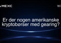 Er der nogen amerikanske kryptobørser med gearing?