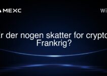 Er der nogen skatter for crypto i Frankrig?