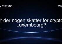 Er der nogen skatter for crypto i Luxembourg?