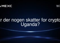 Er der nogen skatter for crypto i Uganda?