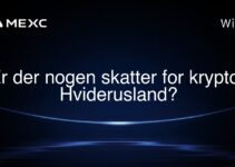 Er der nogen skatter for krypto i Hviderusland?