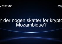 Er der nogen skatter for krypto i Mozambique?
