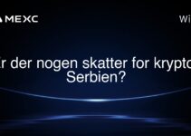 Er der nogen skatter for krypto i Serbien?