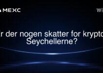 Er der nogen skatter for krypto i Seychellerne?