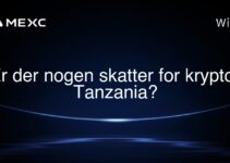 Er der nogen skatter for krypto i Tanzania?