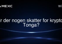 Er der nogen skatter for krypto i Tonga?