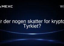 Er der nogen skatter for krypto i Tyrkiet?
