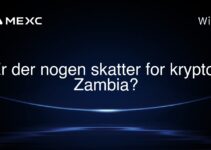Er der nogen skatter for krypto i Zambia?