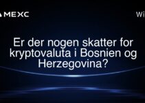 Er der nogen skatter for kryptovaluta i Bosnien og Herzegovina?