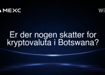 Er der nogen skatter for kryptovaluta i Botswana?