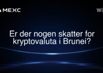 Er der nogen skatter for kryptovaluta i Brunei?