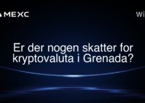 Er der nogen skatter for kryptovaluta i Grenada?
